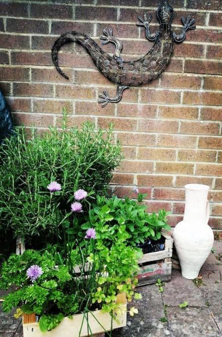 Garden Apartment Morpeth- With Lockable Bike Storage! Экстерьер фото